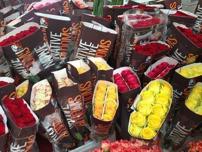 斗南國際花卉產業園 花海作伴，品味云南，禮品花卉銷售新體驗